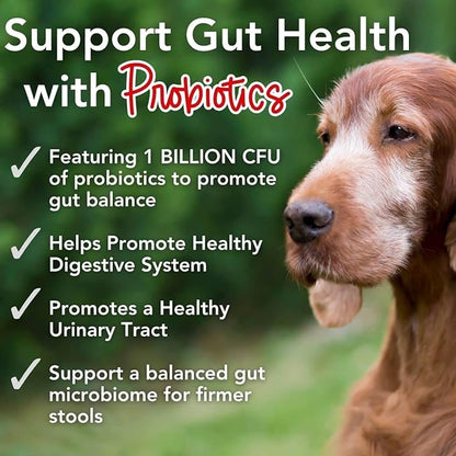 iHeartDogs 24-in-1 Senior Multivitamin Daily+ Total Health Support Powder with Probiotics, Omega-3, Glucosamine, Mushrooms & Bone Broth- 60 Servings