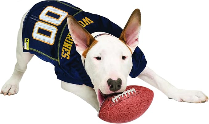NCAA College Michigan Wolverines Mesh Jersey for Dogs & Cats, X-Small. Licensed Big Dog Jersey with Your Favorite Football/Basketball College Team (Pack of 2)