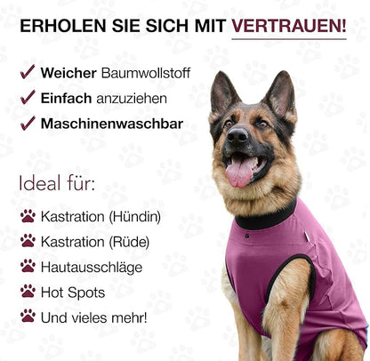 BellyGuard Dog Surgery Recovery Suit, Dog Onesie for Post-Op Care, Recovery Apparel for Female and Male, Surgical Body Cover for Canine Healing Support