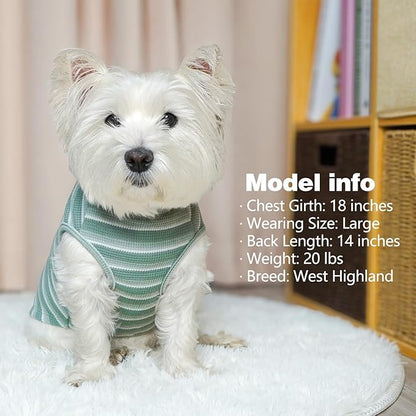 KYEESE 2Pack Waffle Dog Shirts, Lightweight Sleeveless Dog T Shirts for Small Dogs Boy Girl, Breathable Pet Vest Comfortable Tank Top Soft Dogs Clothes for Daily Wear, Green+Striped, L