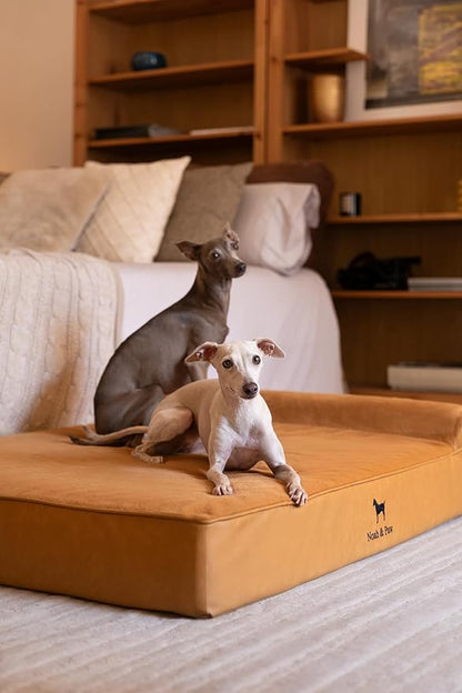NOAH & PAW Large Dog Bed, 35x25x8.7 Inch, Orthopedic Dog Beds, Eggshell Memory Foam Infused with Cooling Gel, Waterproof, Machine Washable, Includes Inner Cover (Faux Leather)
