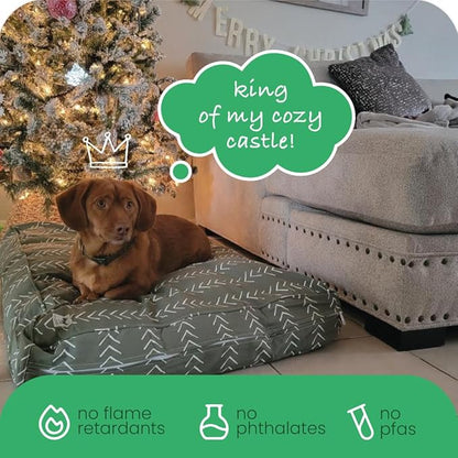 Molly Mutt Medium to Large Dog Bed Cover- Forever Young Print - Measures 27”X36”X5’’ - 100% Cotton - Durable - Breathable - Sustainable - Machine Washable Dog Bed Cover (Dd82b)