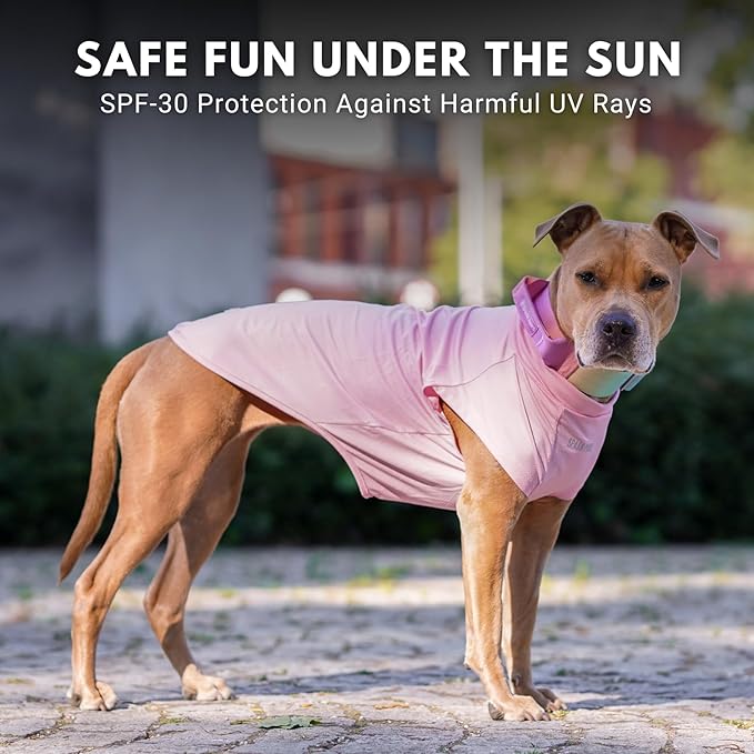 Spark Paws Sunblock Dog T-Shirt, SPF30 Protection, Lightweight Breathable Quick Dry for Dogs with Sensitive Skin - Purple & Pink (Set of 2) - XL