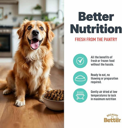 Because It’s Better Slow Baked & Air Dried Dog Food - Real Salmon & Veggies - Complete & Balanced Dry Dog Food - Grain Free, High Protein, Natural Nutrition for All Life Stages, 3 lb Bag