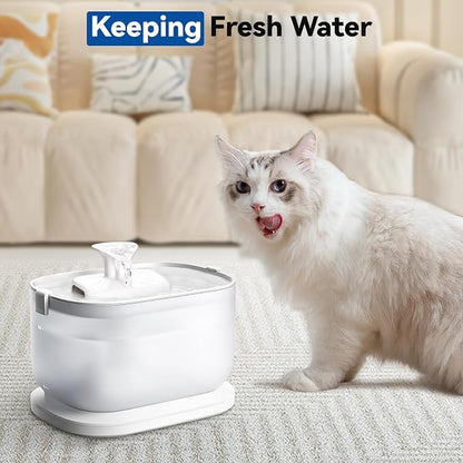 24 Packs for Petlibro Cat Water Fountain Filters Replacement Dockstream | Compatible with PETLIBRO® PLWF106 PLWF116 PLWF005 PLWF115 PLWF105 PLWF305 (12 Replacement Filters + 12 Pre-Filter Sponges)