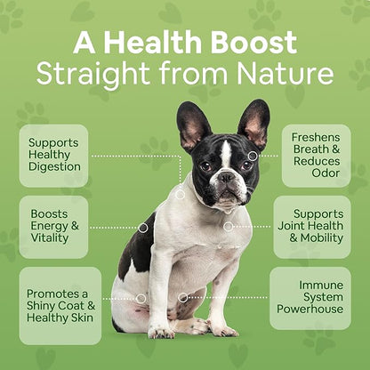 Organic Plant-Based Supplement for Skin, Coat, Digestive & Immune Health in Dogs (12 oz); Natural, Holistic and Vet Approved, Add to Raw, Cooked Homemade, Kibble or Canned Dog Food, 4 Pack