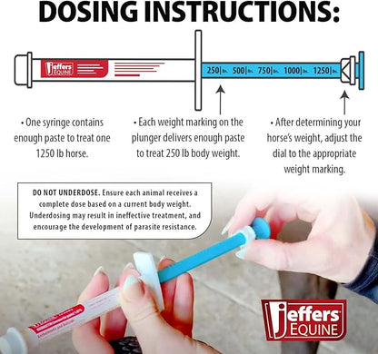 Jeffers Ivermectin Gel Dewormer for Horses - Apple Flavored, Broad Spectrum Dewormer Paste - Effective Parasite Control for Worms, Pinworms, Bots & More - Safe for Equine of All Ages- 6 Pack