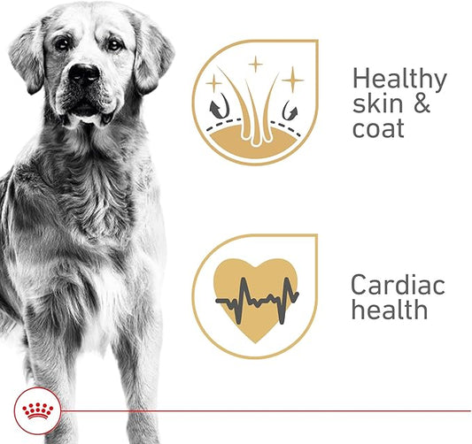Royal Canin Breed Health Nutrition Golden Retriever Adult Loaf in Sauce Dog Food, 13.5 oz (Pack of 12)
