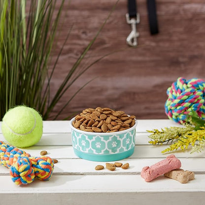 Bone Dry Lattice Collection Pet Bowl & Canister, Single Dish, Small 4.25x2", Aqua