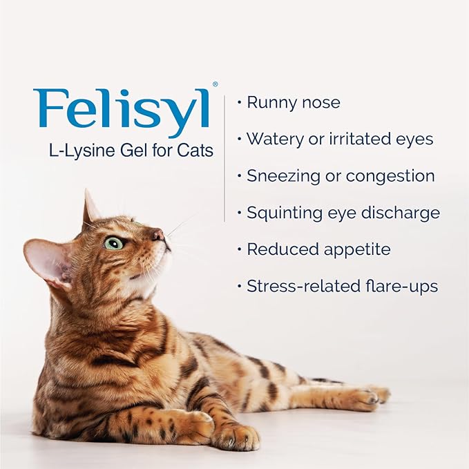 Felisyl L-Lysine Gel for Cats & Kittens (5oz) – Immune System, Respiratory & Eye Health Support. Reduces Sneezing, Runny Nose & Watery Eyes. Daily Salmon-Flavor Supplement – Made in USA (1 Pack)