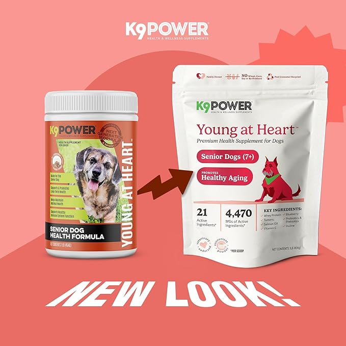 K9Power Young at Heart – Senior Dog Supplement for Longevity & Vitality – Supports Joints, Brain, Heart, Digestion, Skin & Energy – Amino Acids, Vitamins, Minerals, CoQ10, Omega 3s, Turmeric