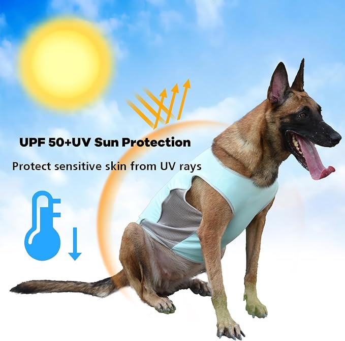 UPF 50+ Sun Protection Dog Shirt for Medium Large Dogs - Breathable Sleeveless Vest with Reflective Strips, Sports Fan Pet T-Shirt, Lightweight UV Protective Apparel P23ST00501XXXL