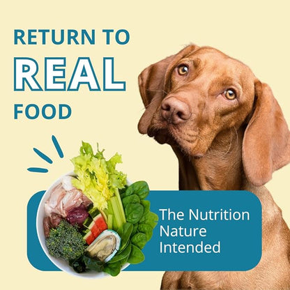 Steve's Real Food Freeze-Dried Raw Nuggets - Turkey Recipe - Raw Pet Food for Dogs - 20 oz