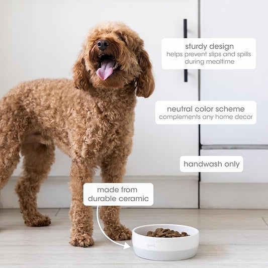 Pearhead Ceramic Bone Appétit Dog Bowl, Stoneware Food and Water Dish, Grey and White Pet Feeder, Small/Medium 2.25 Cups/ 18 oz