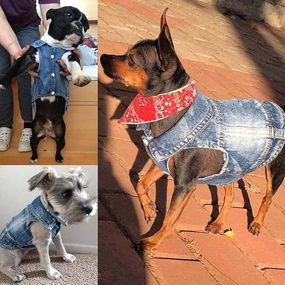 Jean Jacket, Blue Denim Lapel Vest Coat Costume, Dog & Cat T-Shirt Clothes, Cool & Funny Apparel Outfits, Machine Washable for Small & Medium Dogs & Cats (L)