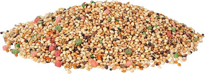 Wild Harvest Daily Blend for Parakeet, Canary, Finch & Small Birds, 2 Pounds (Pack of 4)