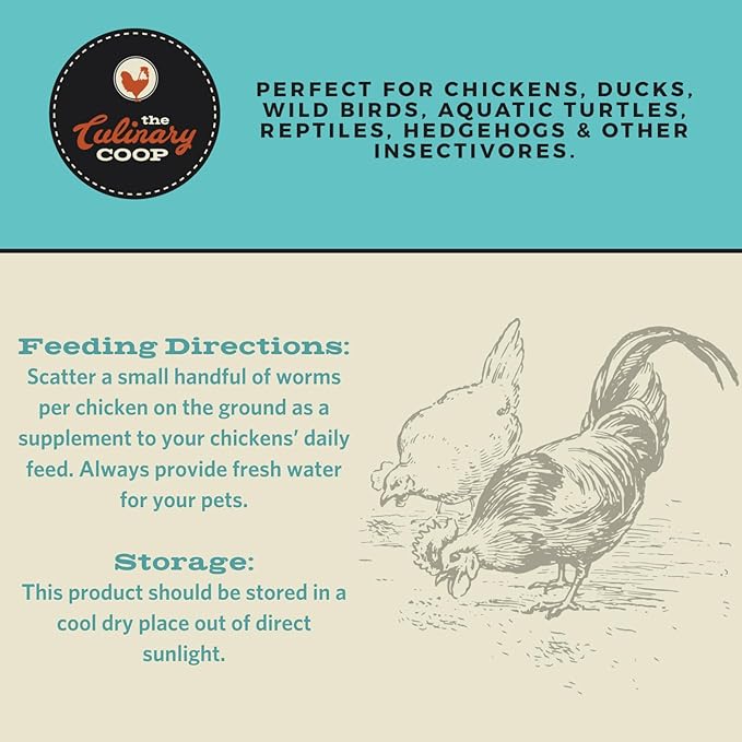 Fluker's Culinary Coop Premium Chicken Treats, Dried Insect Trail Mix, 20 oz