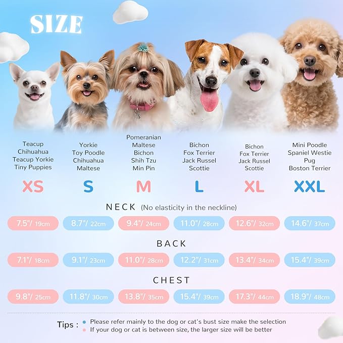 2 Pack Floral Dog & Cat Dress with Tutu Skirt - Breathable Stretch Pet Clothes for Small Dogs Girl Cats & Puppies Birthday Party Outfit (2pack,Pink&Blue,XX-Large)