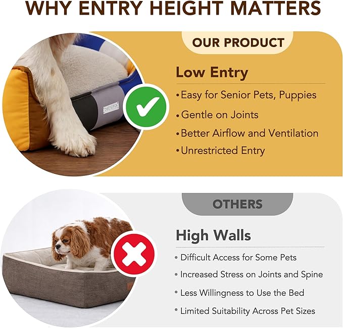PETNOVO Large Dog Bed with Washable Removable Cover, Reversible All-Season Cushion, Non-Slip Base, Rainbow Pattern, Eco Gift Box, 29.5 × 21.7 × 7.9 in