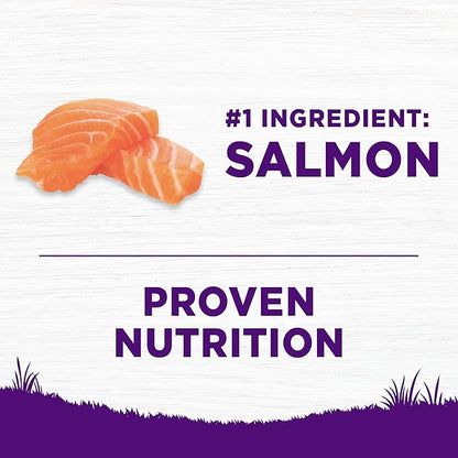 Wellness Complete Health Sensitive Skin and Stomach Dry Dog Food, Wholesome Grain Kibble, Natural, Chicken Free, Salmon and Rice Recipe, 5 lb Bag