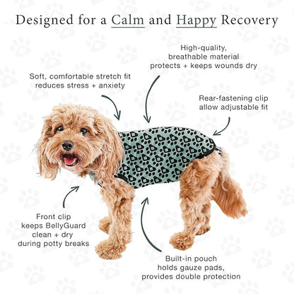 BellyGuard Dog Surgery Recovery Suit, Dog Onesie for Post-Op Care, Recovery Apparel for Female and Male, Surgical Body Cover for Canine Healing Support