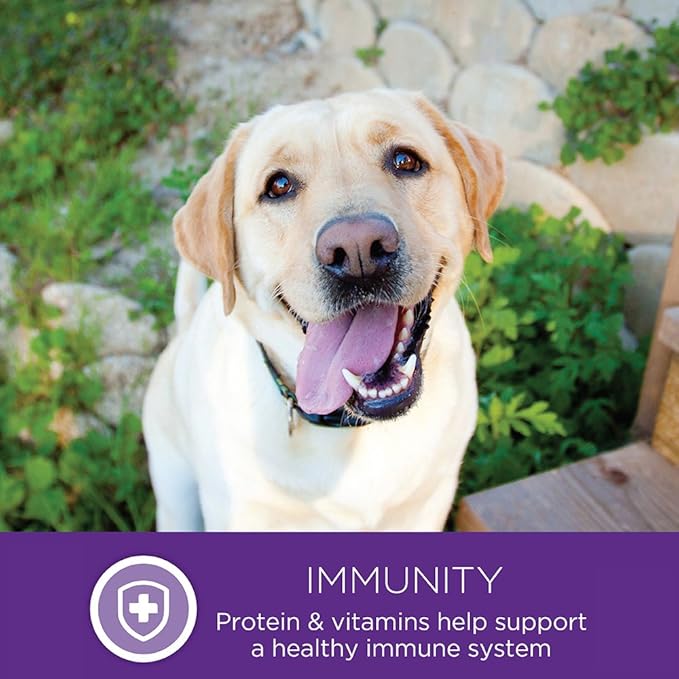 Wellness Complete Health Large Breed Adult Dry Dog Food, Wholesome Grain Kibble, Natural, Chicken, Oatmeal, and Salmon Recipe, 30 lb Bag
