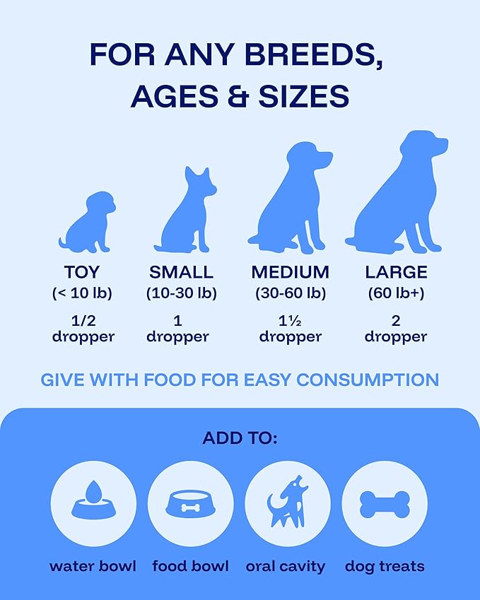Dog Longevity Supplement NAD+ & NMN - Joint Health, Vitality & Healthy Aging - Nano liposomal Technology - Easy to Give Every Day - Better Absorption - Resveratrol - CoQ10