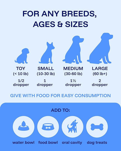 Dog Longevity Supplement NAD+ & NMN - Joint Health, Vitality & Healthy Aging - Nano liposomal Technology - Easy to Give Every Day - Better Absorption - Resveratrol - CoQ10