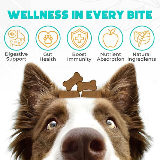 Probiotics for Dogs Chews 150PCs - Digestive, Gut Health & Diarrhea Support - Chews for Dogs - US Formula with Probiotics, Enzymes & Natural Ingredients - Duck