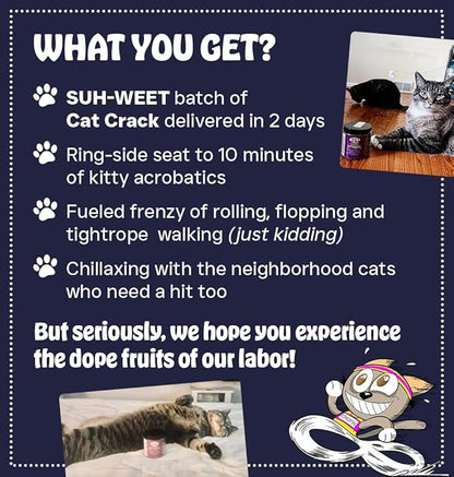 Cat Crack Catnip, Zoomie-Inducing Cat Nip Blend, North American Made & 100% Natural, Safe & Non-Addictive Catnip Treats Used to Supplement Cat Nip Toys, Spray, & Accessories (1 Cup)