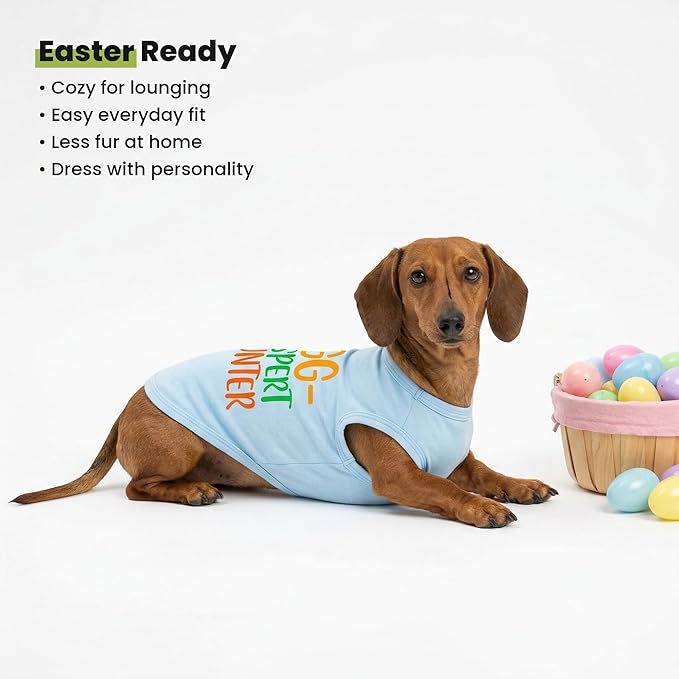 Fitwarm Egg-spert Hunter Dog Easter Outfit, Summer Clothes for Small Dogs Boy Girl, Pet Outfit, Blue, Red, Green, Orange, Large