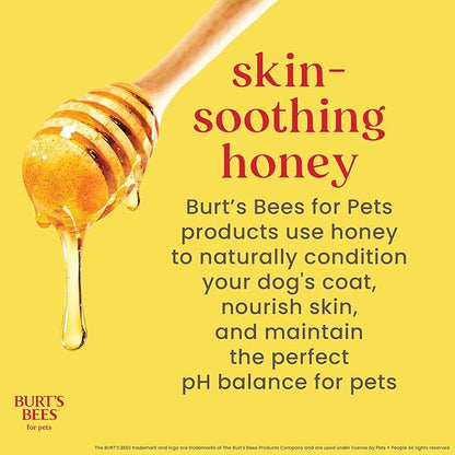 BURT'S BEES FOR PETS Deodorizing Dog Shampoo with Apple and Rosemary, 95% Natural Origin Formulas, Gentle Canine Cleanser for Smelly Pups, 2 pk 16 oz