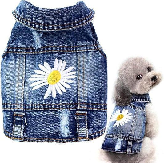 Pawstrip Dog Denim Jacket with Embroidered Daisy, Ripped Vintage Jean Vest for Small Dogs, Puppy, Pugs, Chihuahuas, Spring Summer Fall Festival Outfit, Small (Fits Chest 11-12")