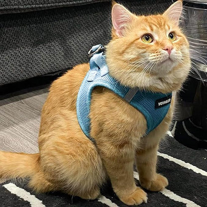Best Pet Supplies Voyager Step-in Air Harness - All Weather Mesh, Reflective, No Pull Harness for Dogs, Cats - Secure with Hook & Loop Fastener, Buckle, Double D-Rings - Baby Blue, S