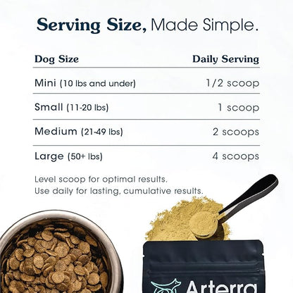 Senior Dog Powder Supplement & Food Topper – 63 Ingredients for Joint, Gut, Immune & Brain Health – Daily Longevity Multivitamin with Glucosamine, Probiotics, and Fish Oil | 120 Scoops