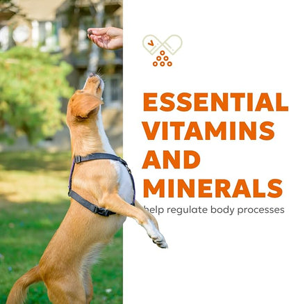 Daily 10-in-1 Dog Wellness Chews – Joint, Gut, Immune, Skin & Coat, Energy & Vitality Support – Glucosamine, Probiotics, Salmon Oil & Turmeric – 60 Soft Chews