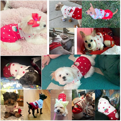 CHBORCHICEN Pet Dog Sweaters Classic Knitwear Turtleneck Winter Warm Puppy Clothing Cute Strawberry and Heart Doggie Sweater (Red1, X-Small)