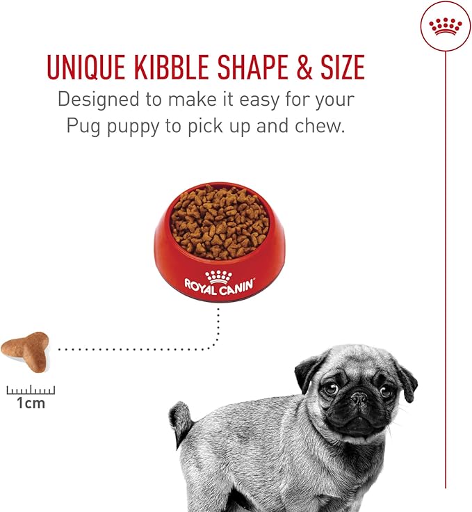 Royal Canin Breed Health Nutrition Pug Puppy Dry Dog Food, 2.5 lb Bag