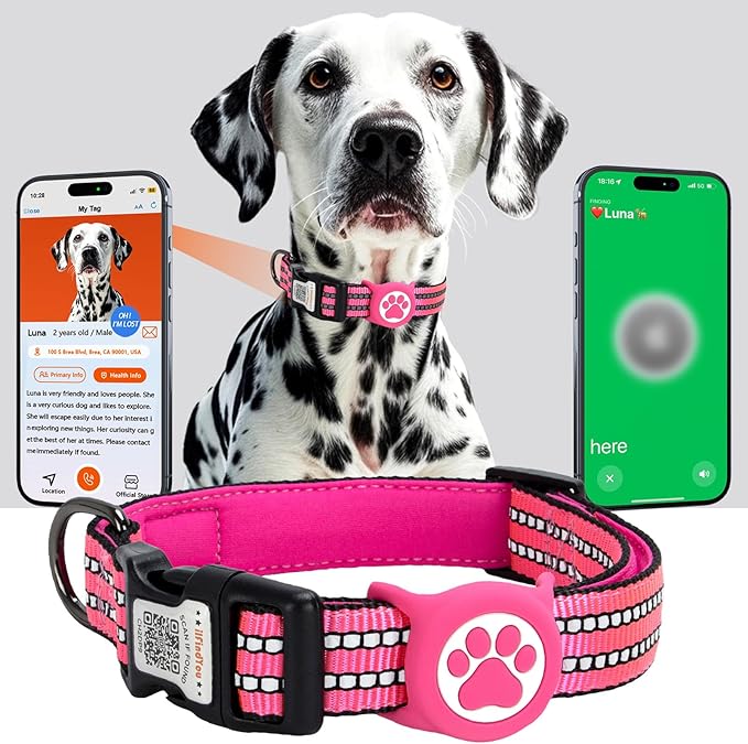 AirTag Dog Collar for Small Dogs, IP68 Waterproof Air Tag Dog Collar with Apple AirTag Holder, Reflective, Padded Lining, QR Code Personalized Dog Tags(Rose Red, Small)