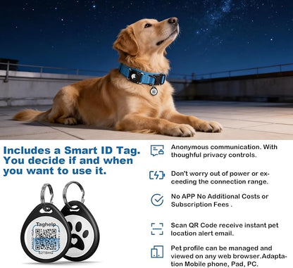 Tactical Airtag Dog Collar Waterproof - Adjustable Nylon Training Collar with Secure Airtag Holder, Control Handle & Quick-Release Buckle for Medium Large Dogs (Blue, XL)
