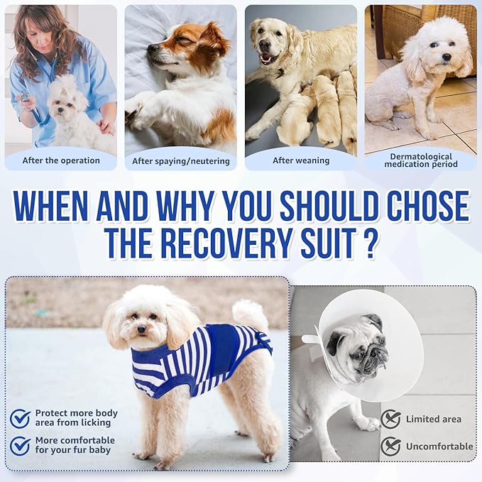 Lukovee Recovery Suit for Dogs, Zipper On Recovery Suit for Female Male Dog, Onesie Abdominal Wounds Cone E-Collar Alternative Prevent Licking Spay Recovery Suit (M, BL)