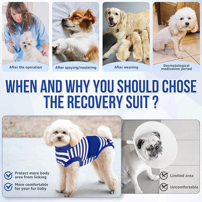 Lukovee Recovery Suit for Dogs, Zipper On Recovery Suit for Female Male Dog, Onesie Abdominal Wounds Cone E-Collar Alternative Prevent Licking Spay Recovery Suit (L, 1BL)