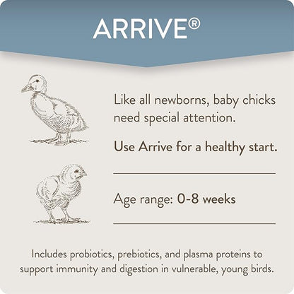FlockLeader Arrive, Daily Probiotic & Prebiotic Water Supplement for Young Chickens 0-8 Weeks Old, 8 oz (Pack of 2)