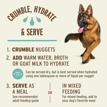 Primal Freeze Dried Raw Dog Food Nuggets, Duck, Complete & Balanced Meal, Also Use as Topper or Treat, Premium, Healthy, Grain Free, High Protein Raw Dog Food, 5.5 oz