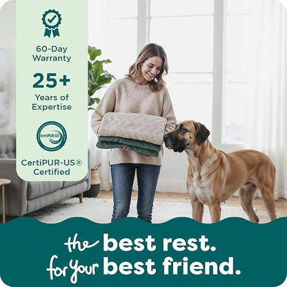 FurHaven Dog Bed Cover Replacement, Sofa-Style Design with Soft, Breathable Fabric for Cozy Comfort, Machine Washable, Jumbo XL, Plush & Velvet Waves, Celadon Green