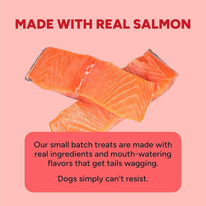 Cloud Star Dynamo Dog Skin & Coat Soft Chews Grain Free Dog Treats, Salmon, 14 oz. Pouch