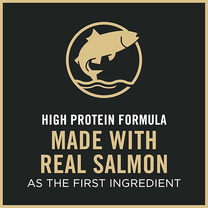 Purina Pro Plan Sensitive Skin and Stomach Kitten Food Salmon and Rice Formula 3.5 Pound (Pack of 1)