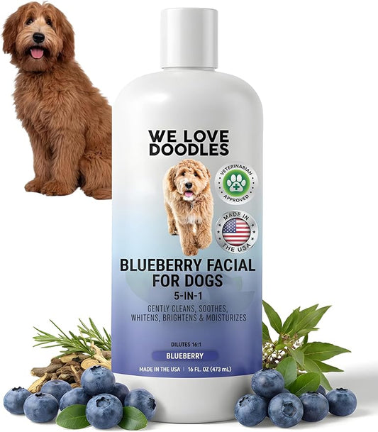 Blueberry Facial Dog Shampoo - Dog Tear Stain Remover, Brightens & Whitens Coat, Cleans & Deodorizes, Tearless, 16:1 Concentrated, 16 oz [We Love Doodles]