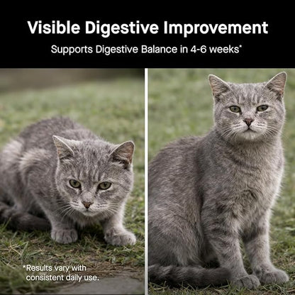 Koby Cat Probiotics | Daily Digestive Support for Sensitive Cats | Helps Loose Stool & Upset Stomach | Certified Organic | Vet Preferred, Clinical Dose | Easy-to-Use Powder