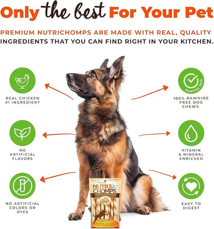 NutriChomps Dog Chews 5-inch Twists, Easy to Digest, Rawhide-Free Dog Treats, 10 Count, Real Peanut Butter Flavor, Bundle of 2, 20 Count, NT063V-2
